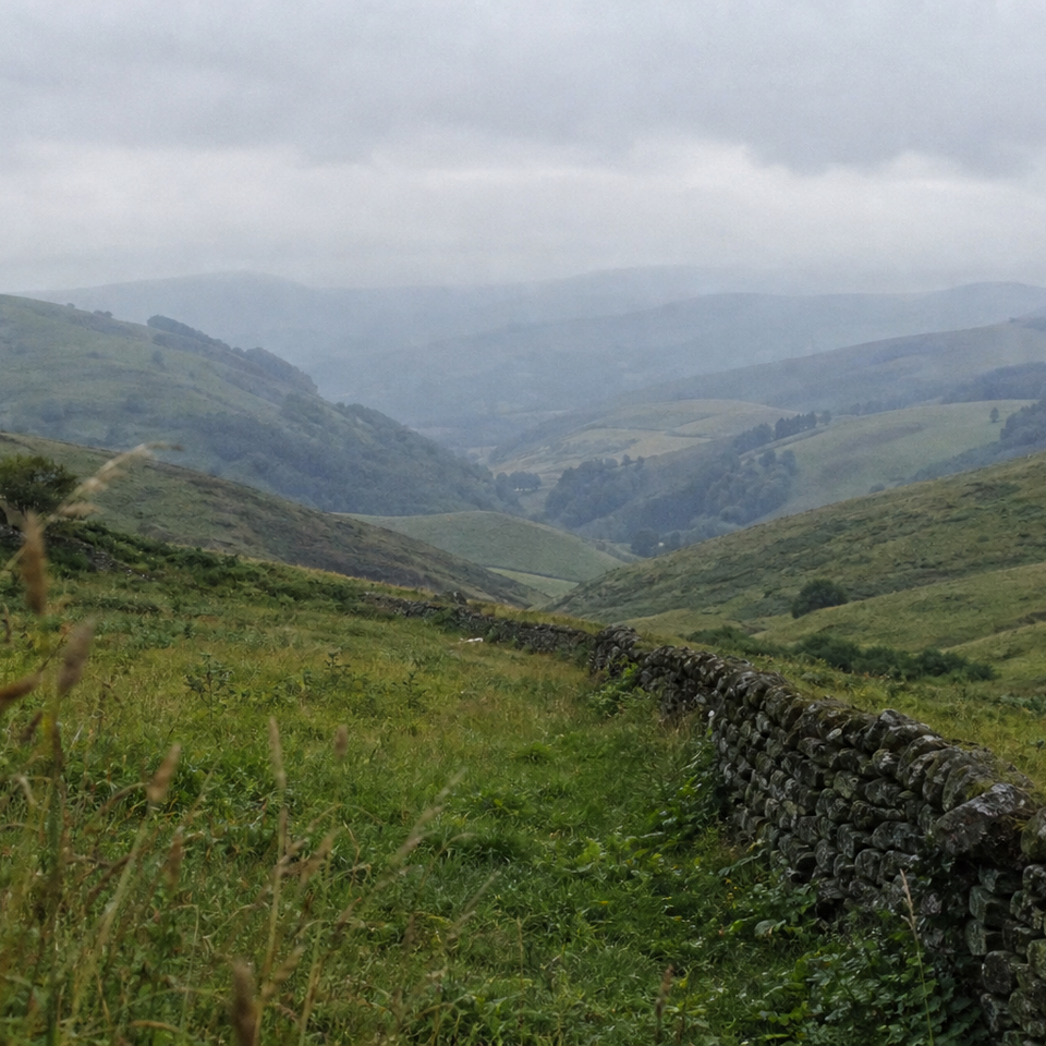 Rolling hills receding into pale misty distance under a soft overcast sky