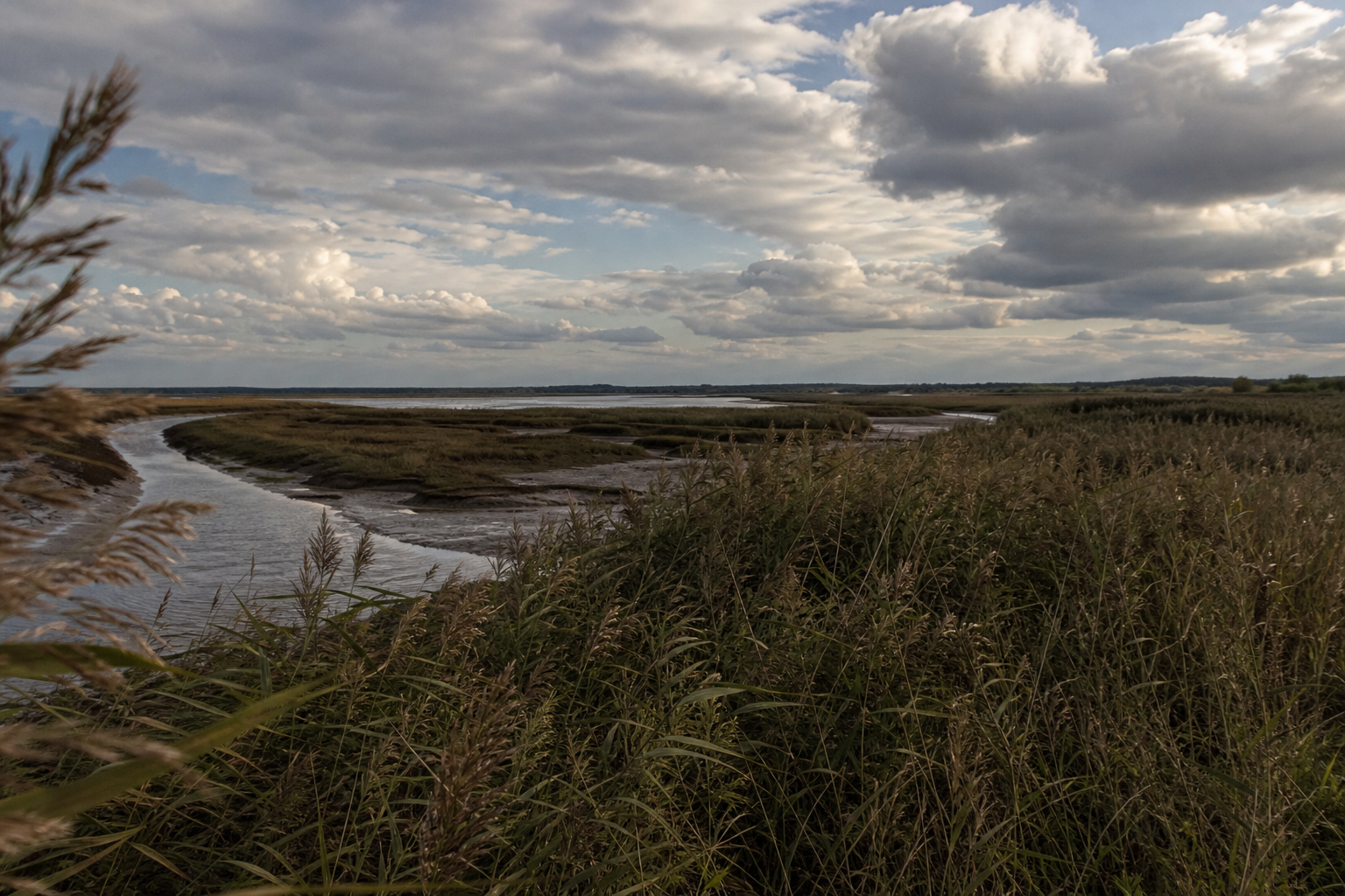 Wide tidal salt marsh with reed beds under a dramatic Norfolk sky