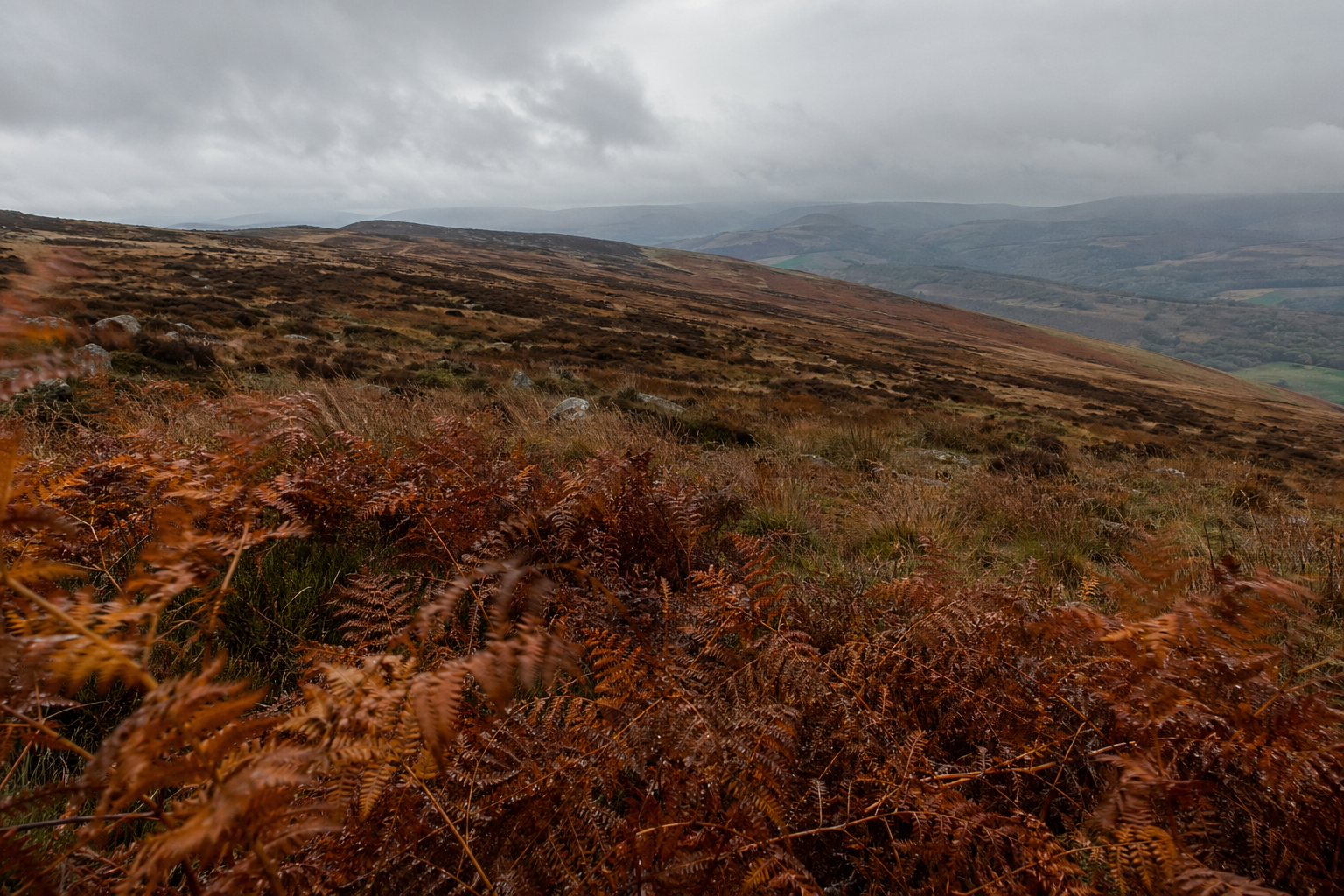 Wide moorland ridge under overcast autumn sky with bracken in foreground