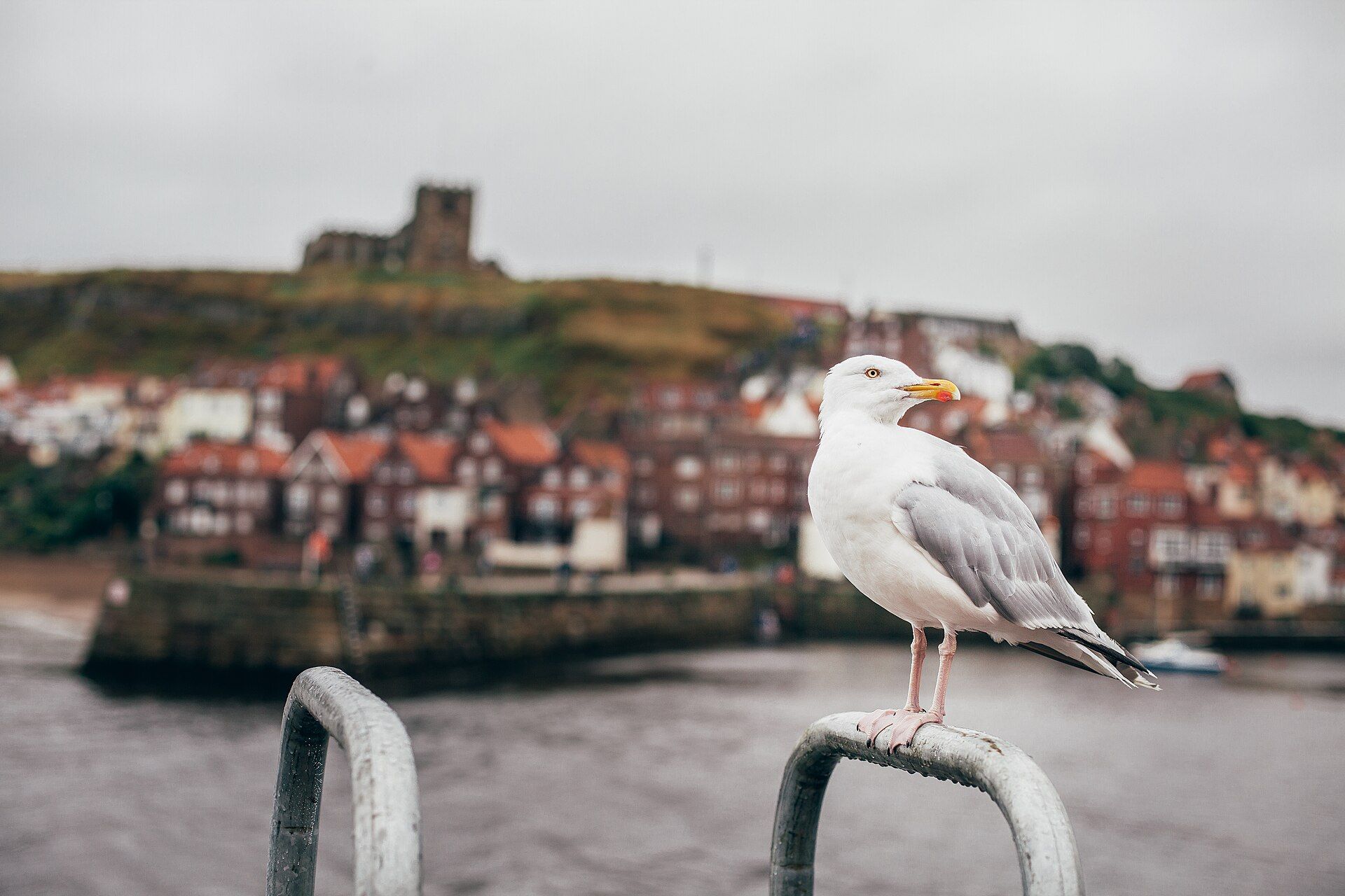 Whitby harbour and town on the North Yorkshire coast