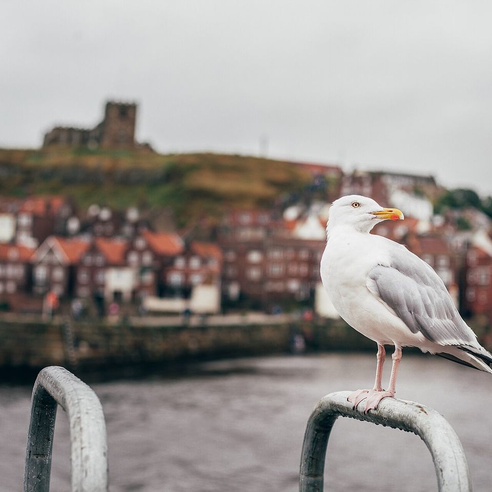 Whitby harbour and town on the North Yorkshire coast
