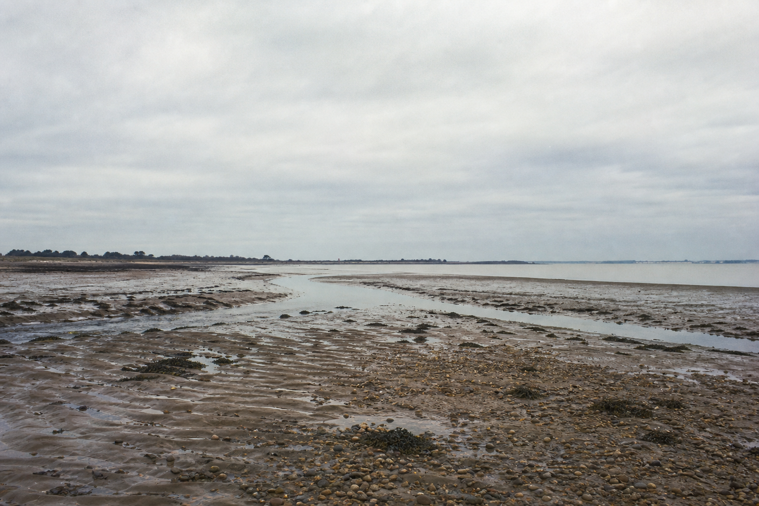 Calm Solent shoreline with mudflats, pale water, and a low horizon under soft grey sky.