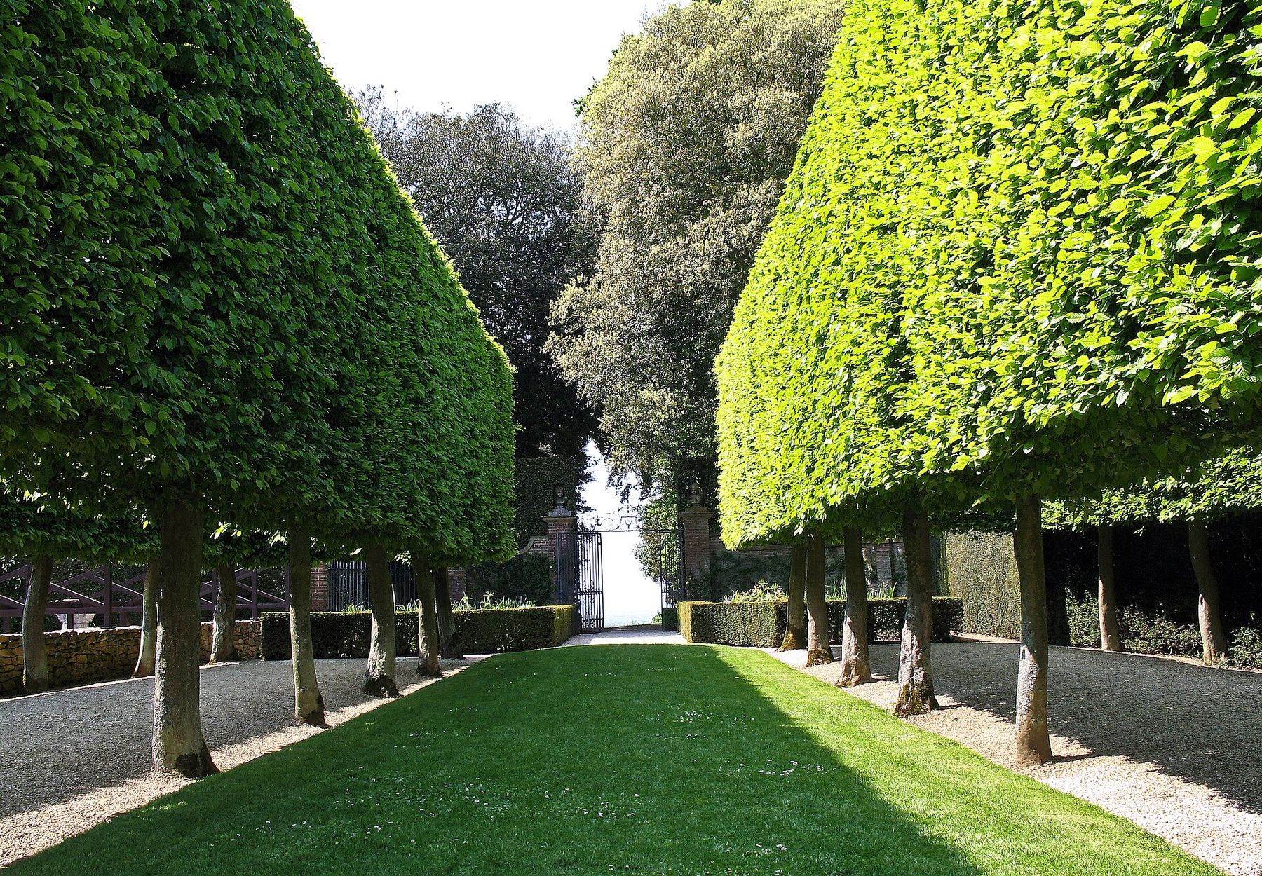 Garden borders and clipped hedges at Hidcote Manor Garden