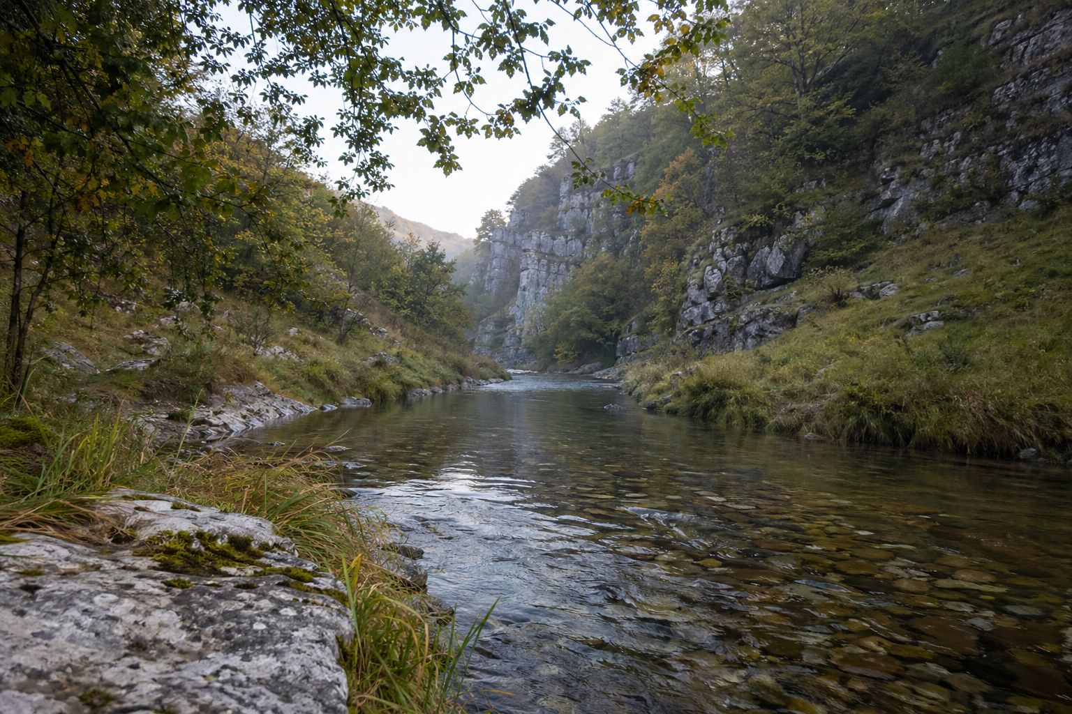 Narrow limestone valley with a clear river and wooded slopes