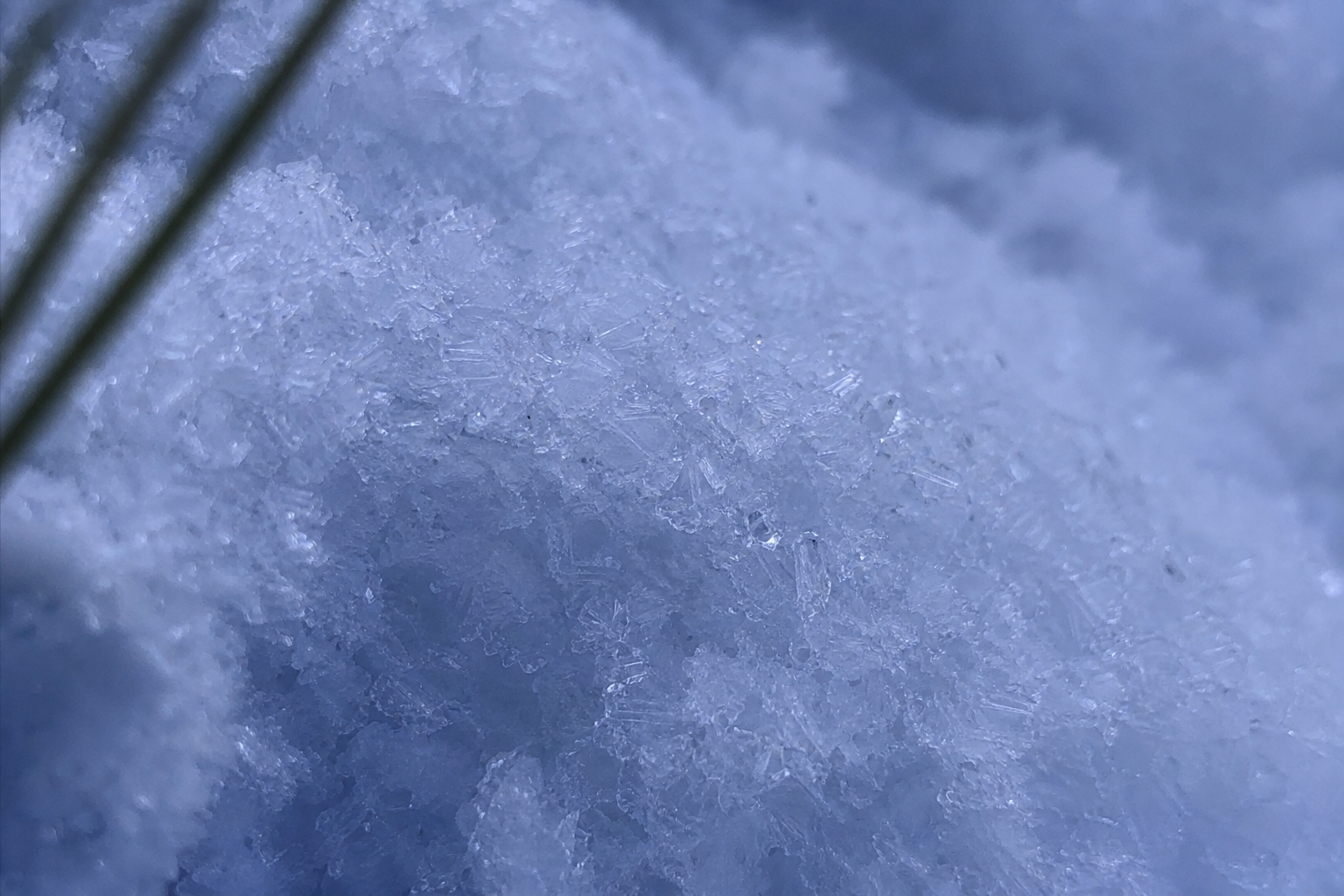 Close-up of snow in shadow with visible blue and violet colour tones