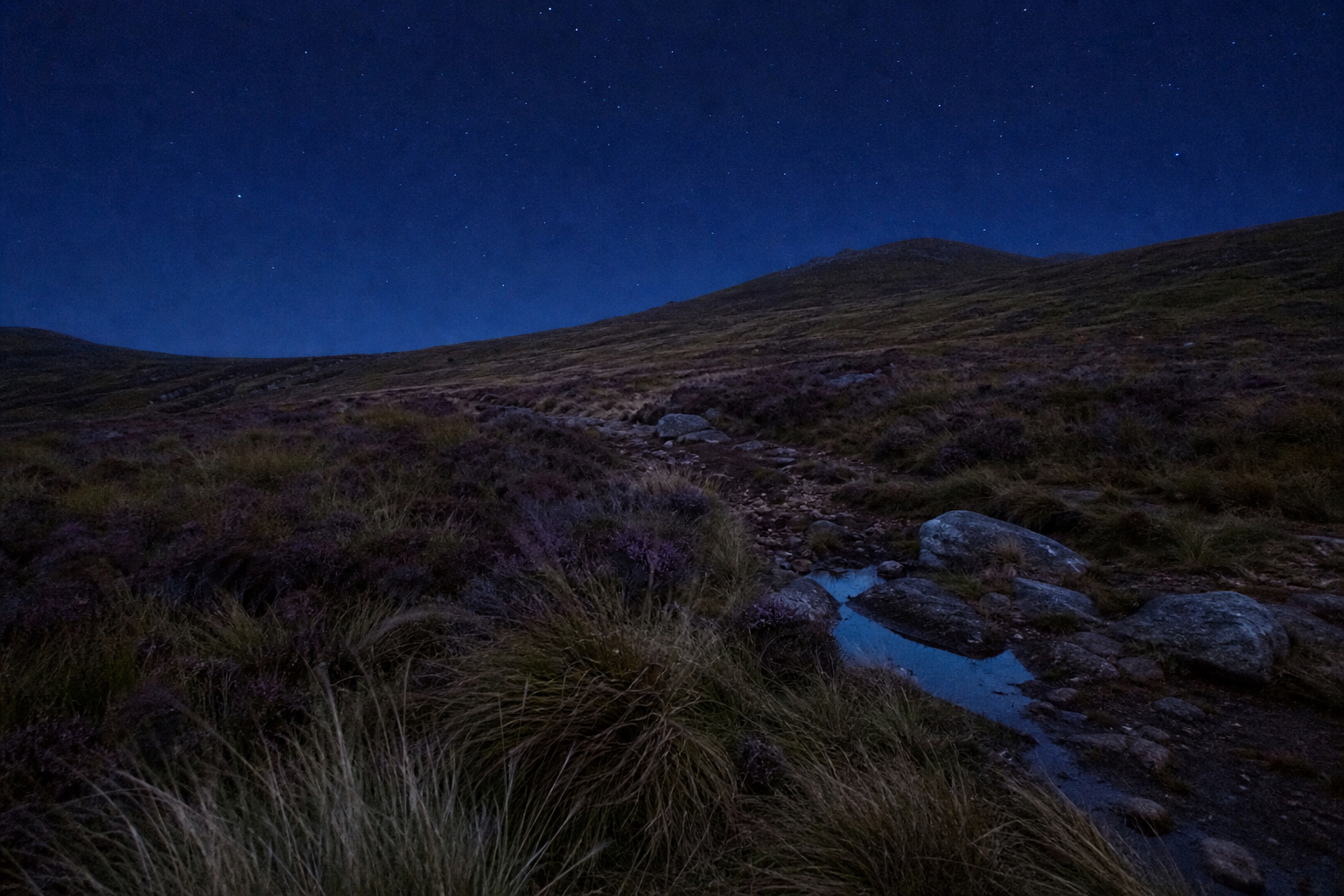 Moorland hillside under a deep blue night sky with scattered stars above