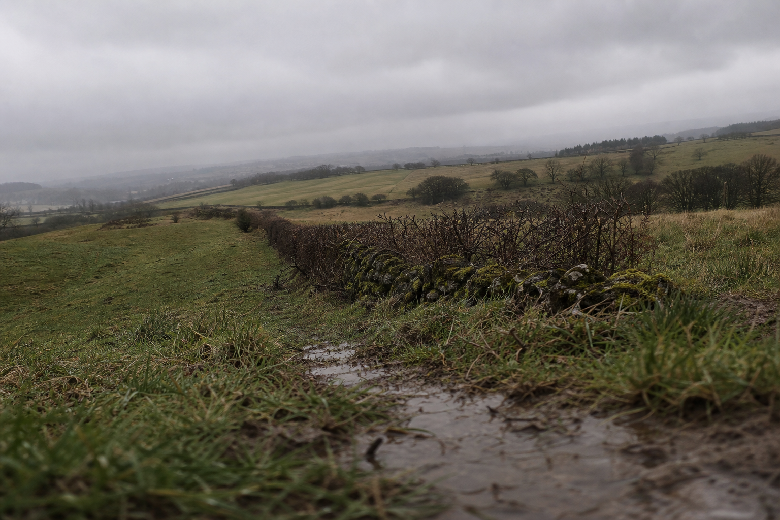 Flat overcast sky above rolling fields and hedgerows, wide low-angle view