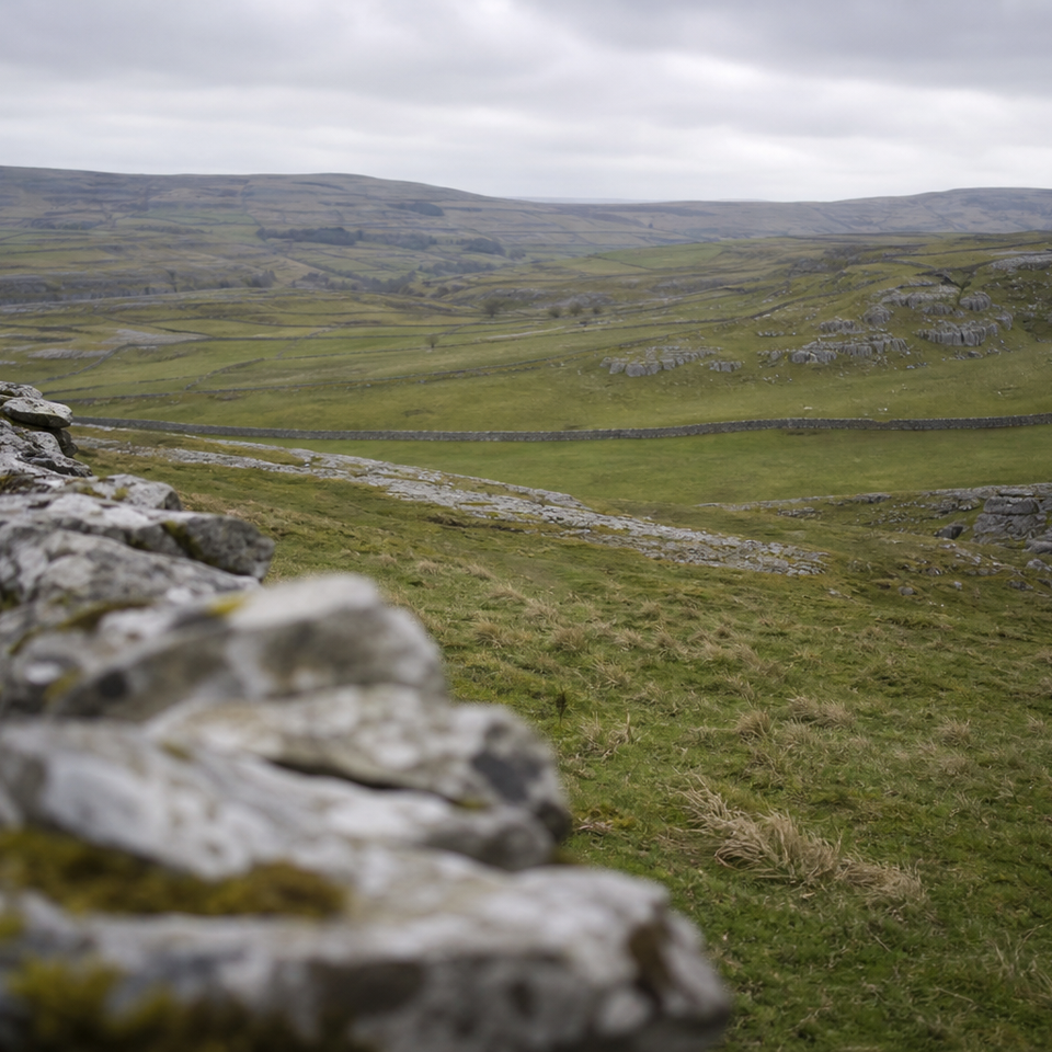 Rolling limestone dale with dry-stone walls, green fields and overcast sky