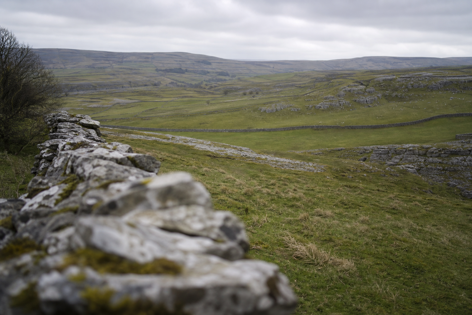 Rolling limestone dale with dry-stone walls, green fields and overcast sky