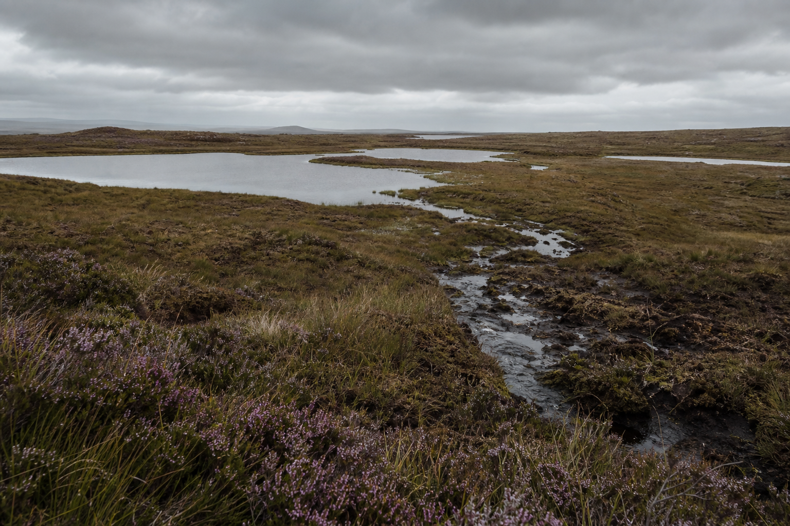 Vast open moorland scattered with small lochs beneath a wide overcast sky