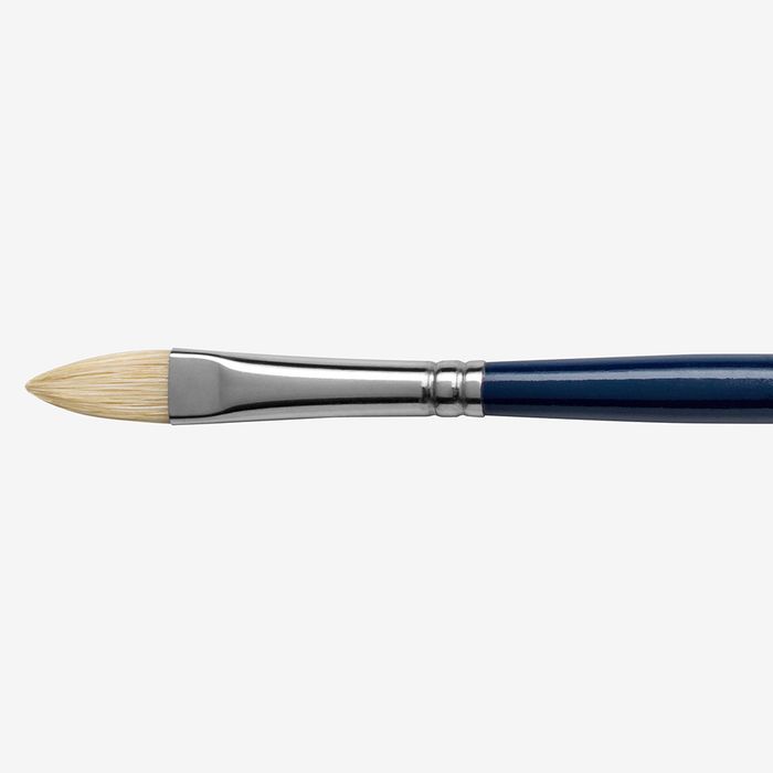 Pro Arte : Series C Hog Brush : Filbert : Size 4