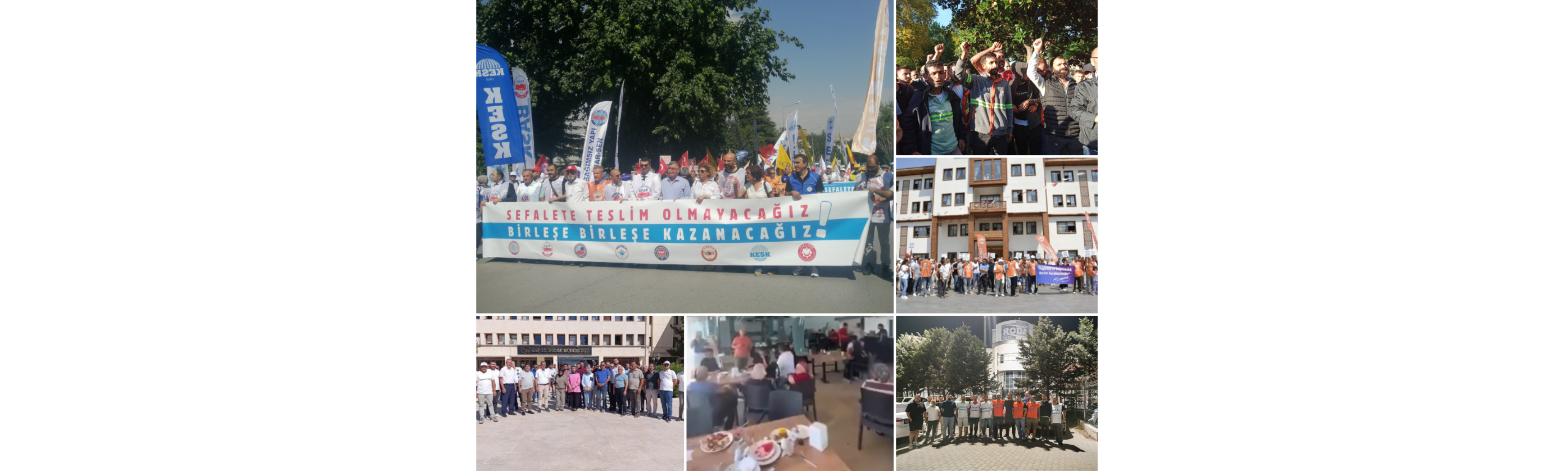 August 2025 Wildcat Strike Report