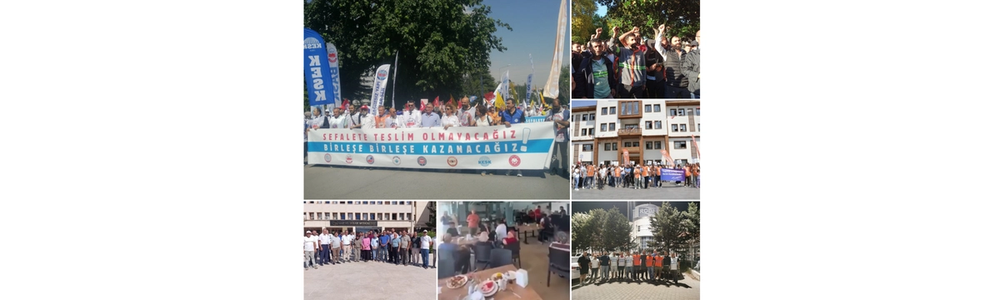 August 2025 Wildcat Strike Report