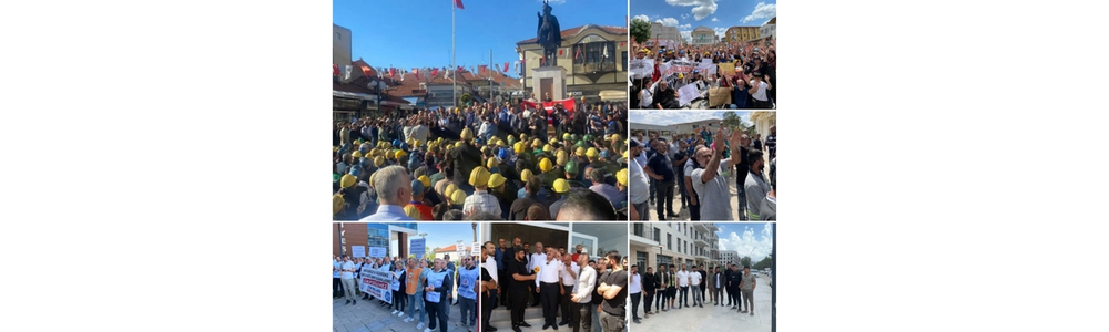 May 2026 Wildcat Strike Report