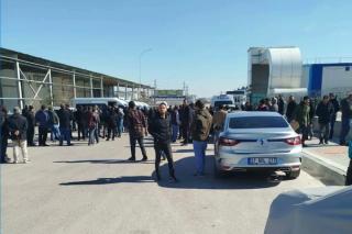 Sırma Halı (Mart 2026)