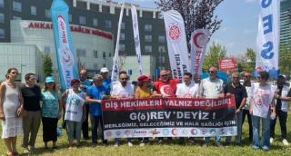 Public Oral and Dental Health Units (July 2025)