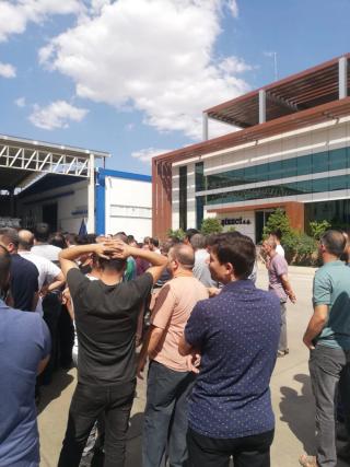 Şireci Tekstil (Temmuz 2022)
