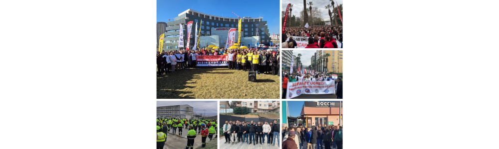 January 2025 Wildcat Strike Report
