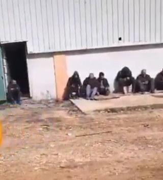 Sebat Halı