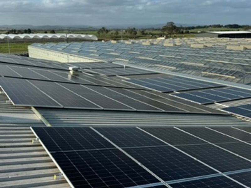 Berry Farm — Guyra