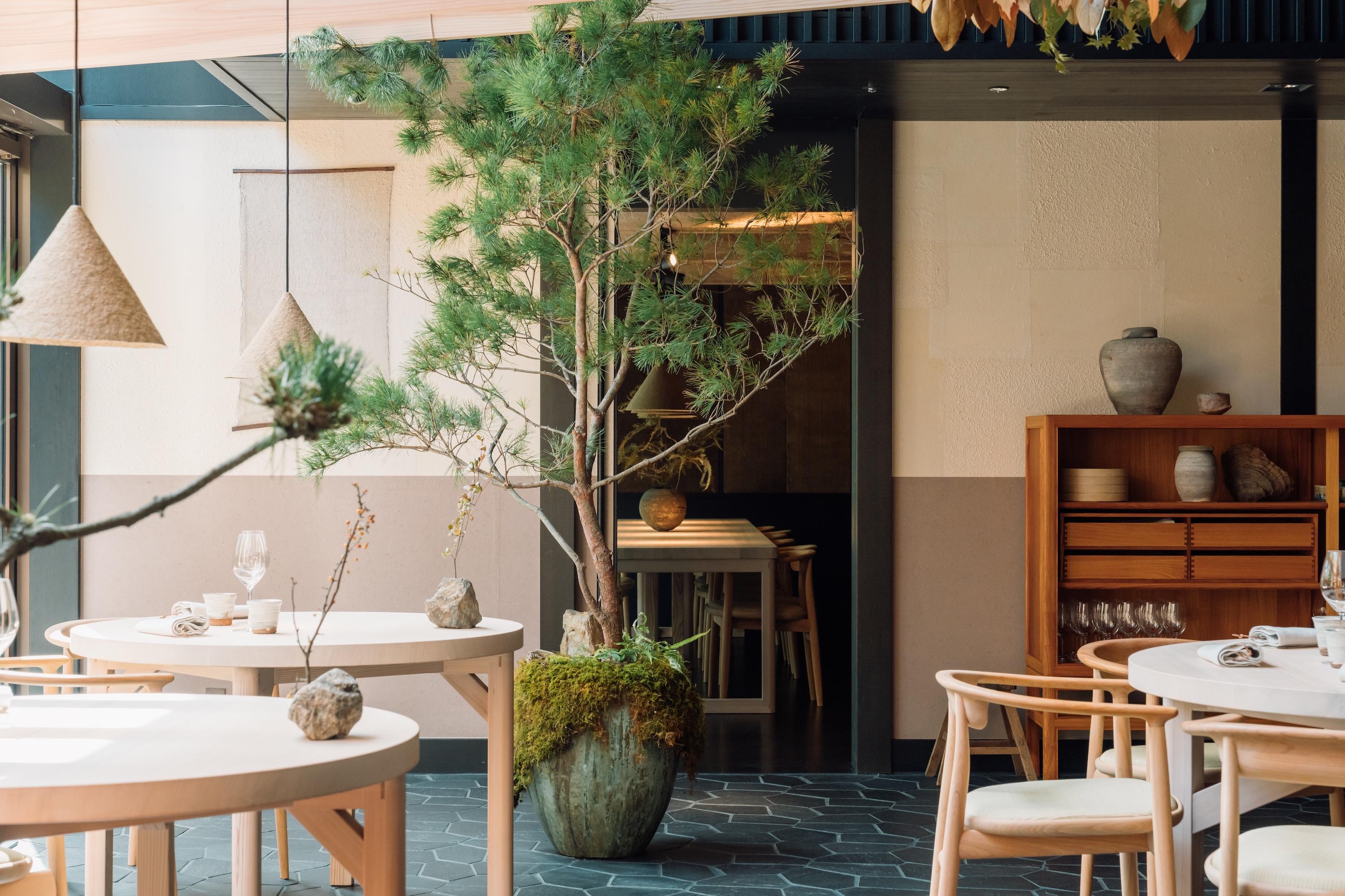 Noma, Kyoto, OEO Studio, Interior, Architecture