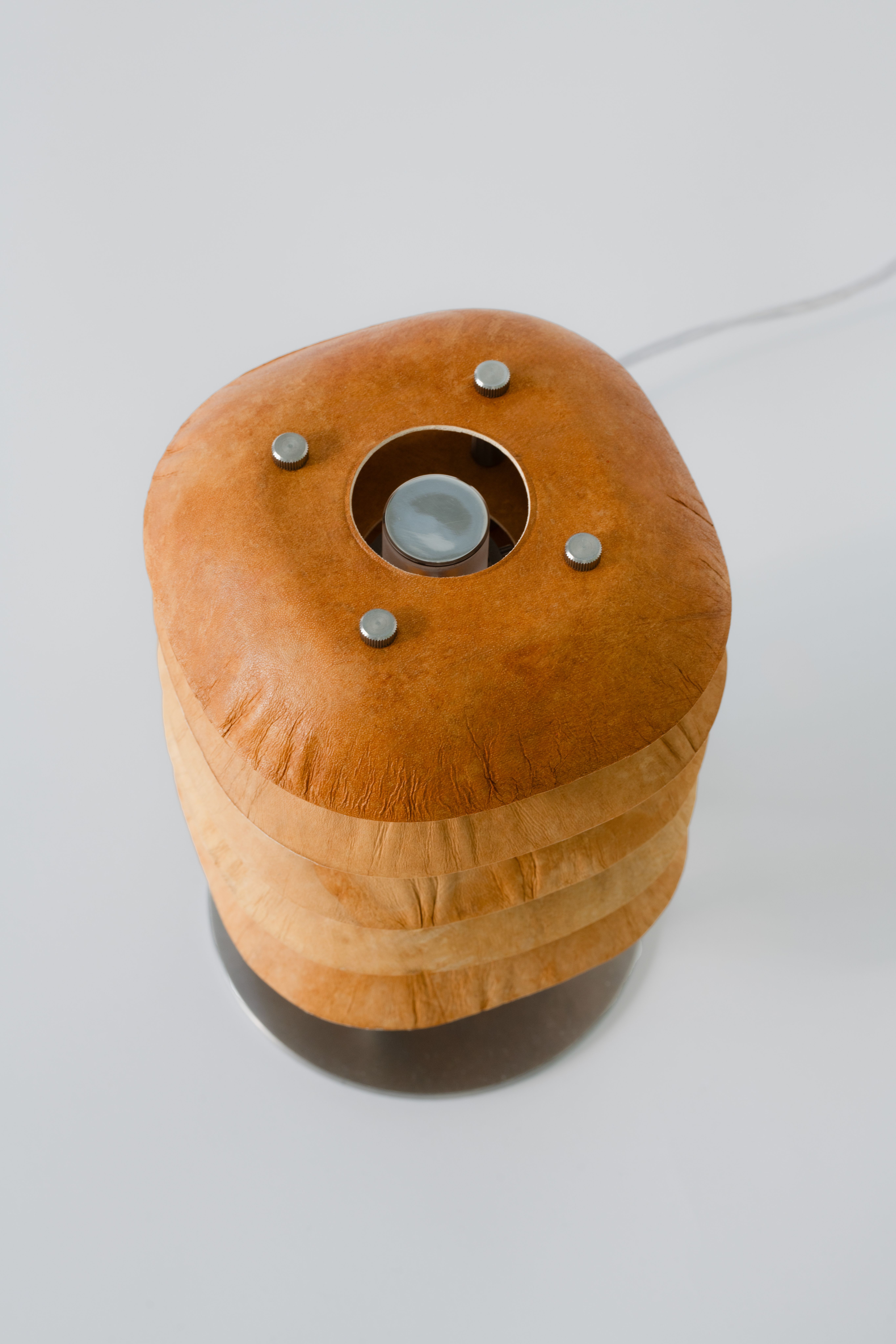 Centurio Lamp, MycoWorks, OEO Studio, Reishi