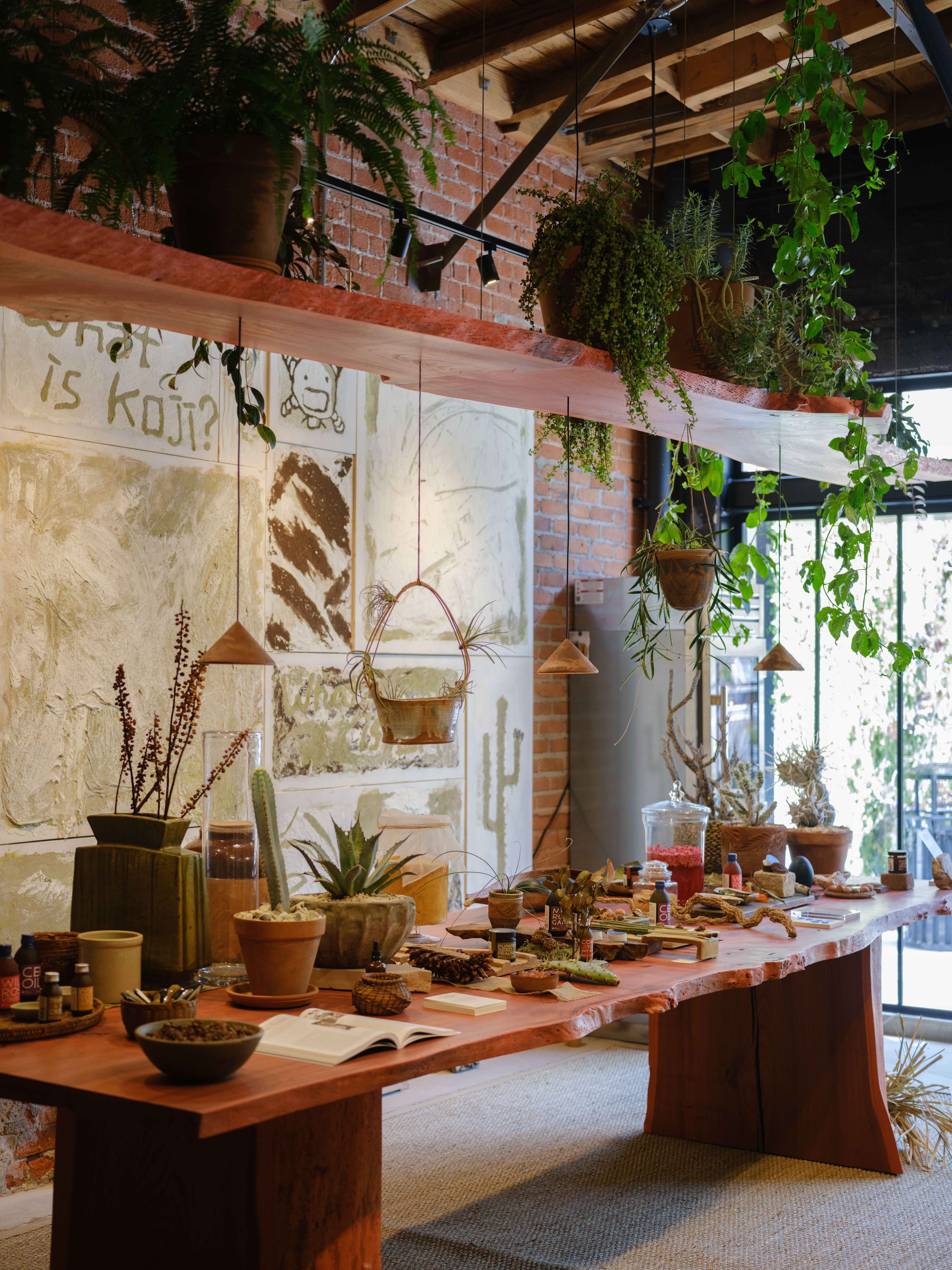 Architecture | OEO Studio
