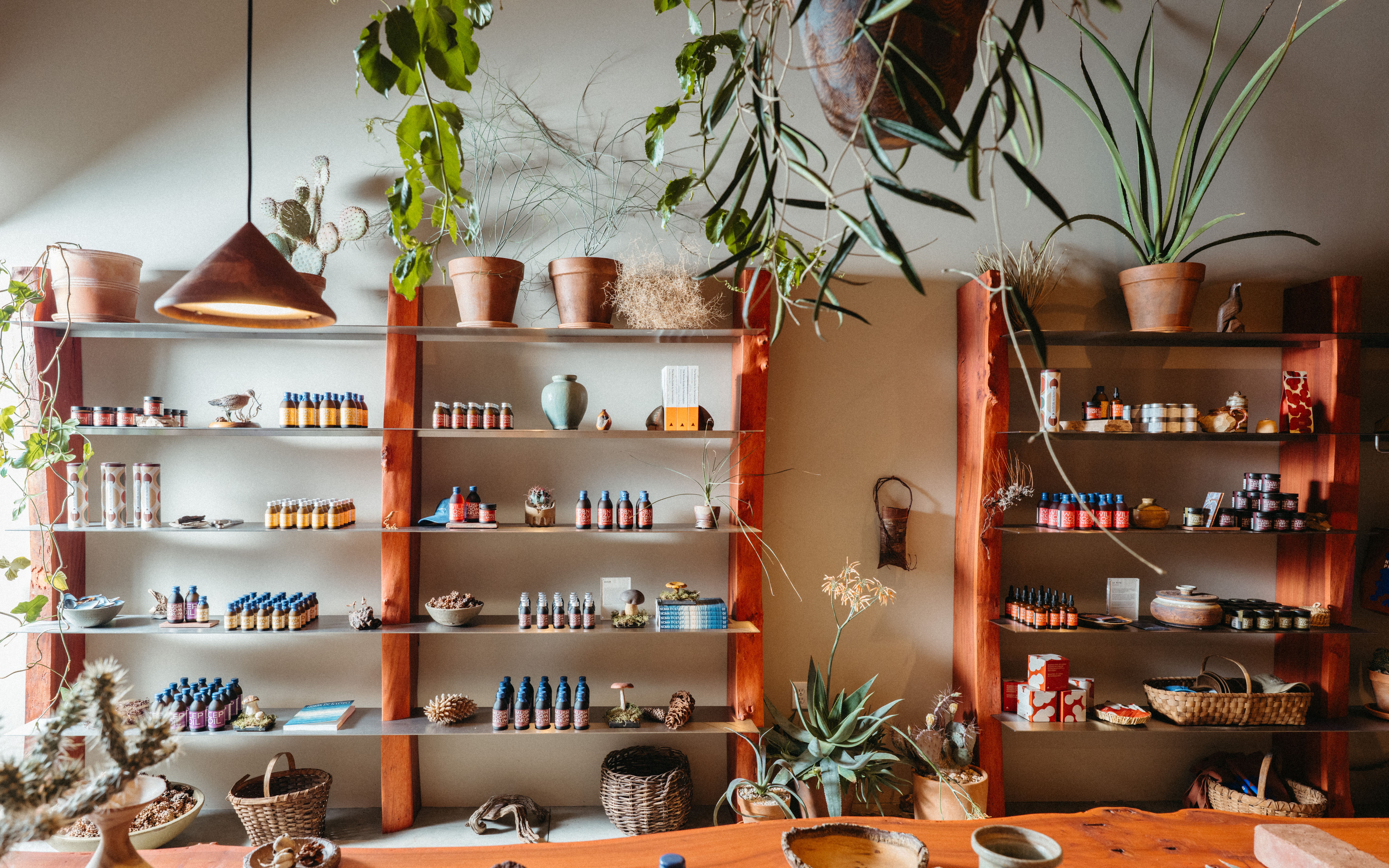 Noma Projects, OEO Studio, Los Angeles, Compelling Minimalism