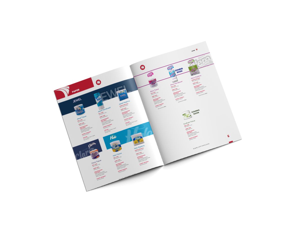 Brochure Fold Out and Print Advertisements Strategy