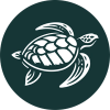 Hawksbill Villa logo
