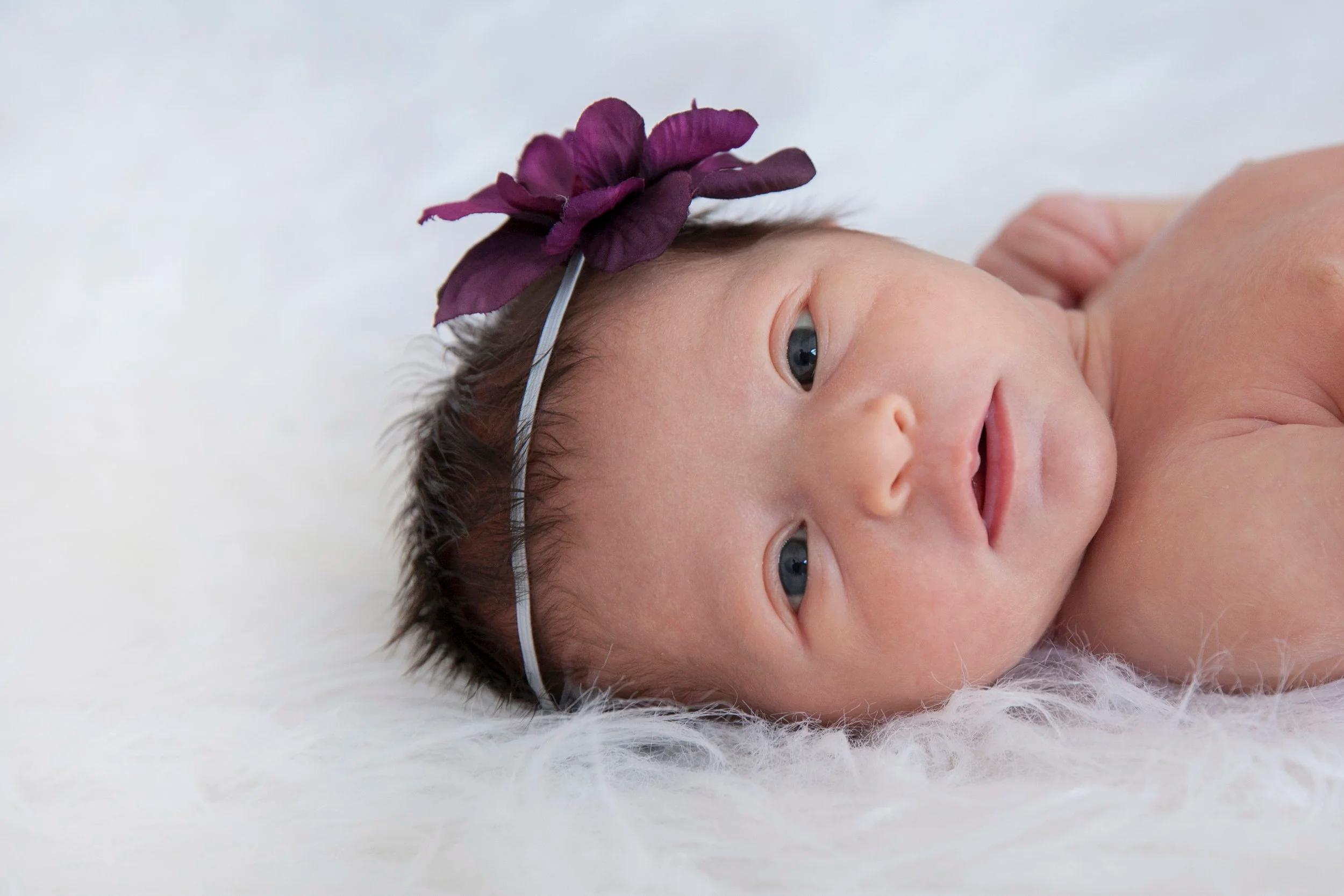 LITTLE ONES & NEWBORN PHOTOGRAPHY image 12