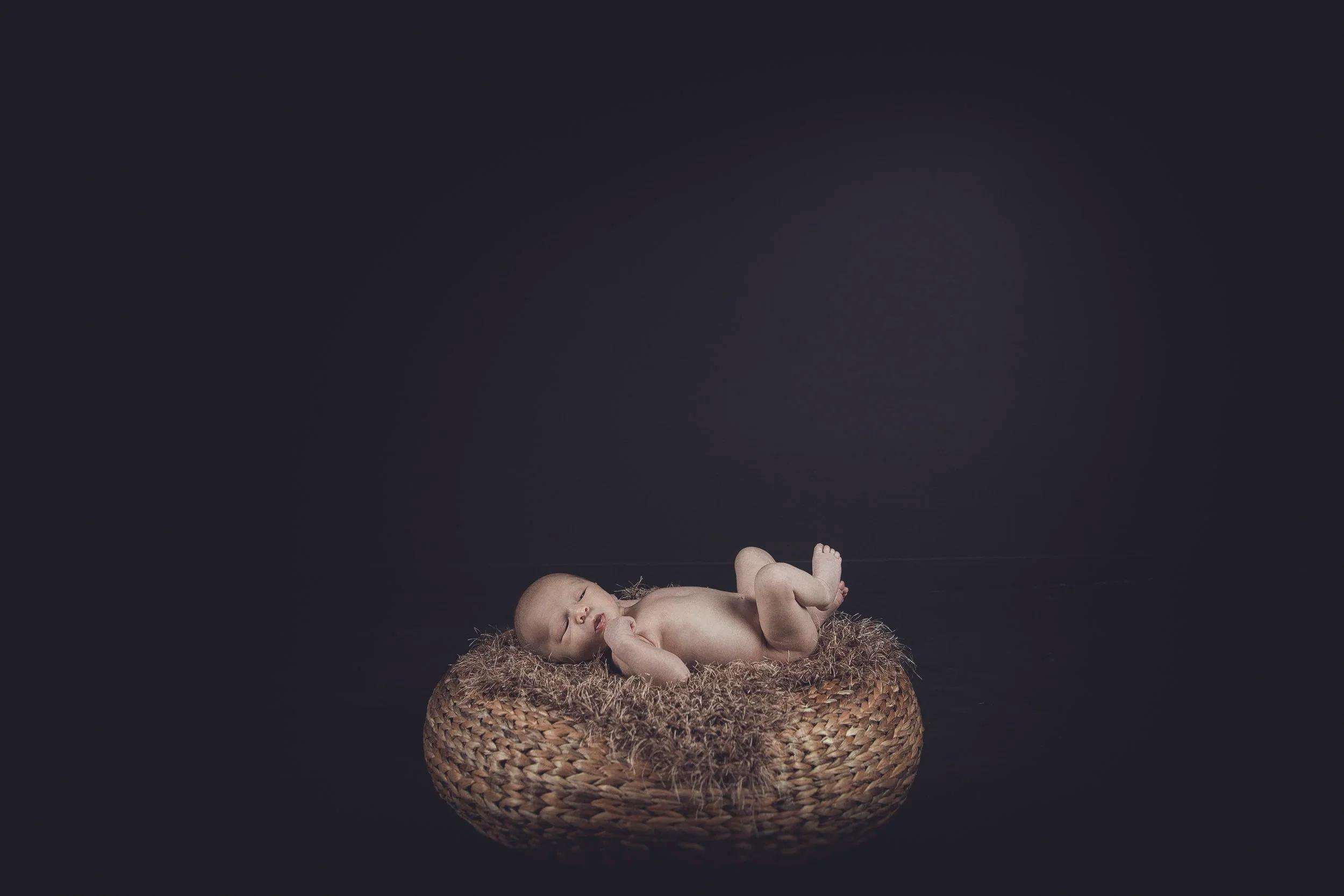 LITTLE ONES & NEWBORN PHOTOGRAPHY image 14