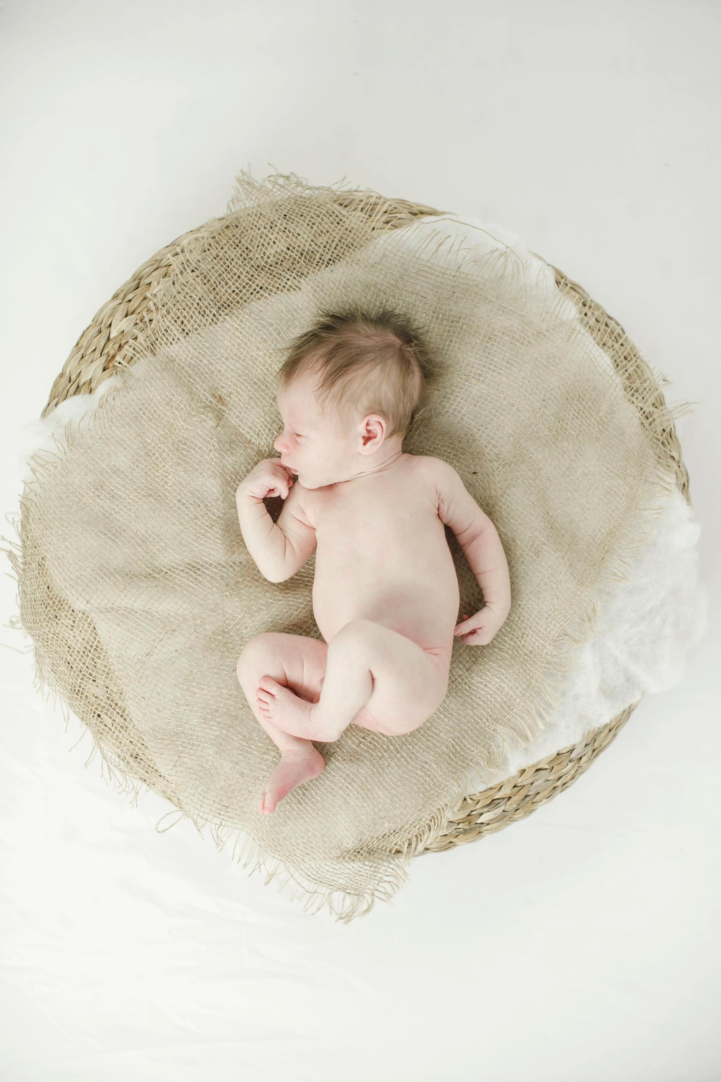 LITTLE ONES & NEWBORN PHOTOGRAPHY image 26