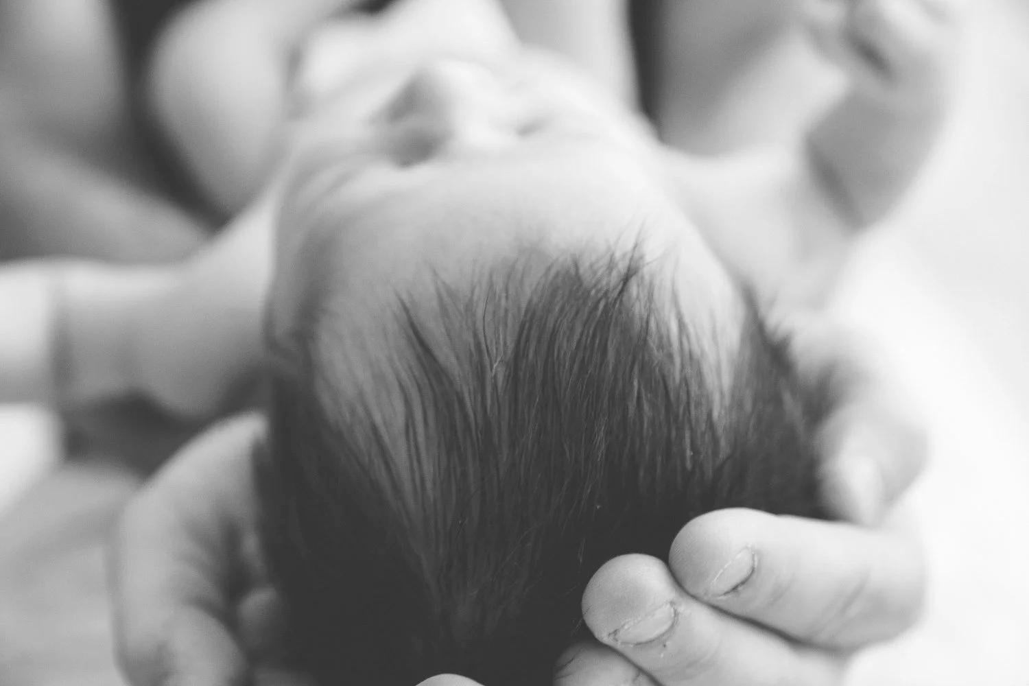 LITTLE ONES & NEWBORN PHOTOGRAPHY image 27