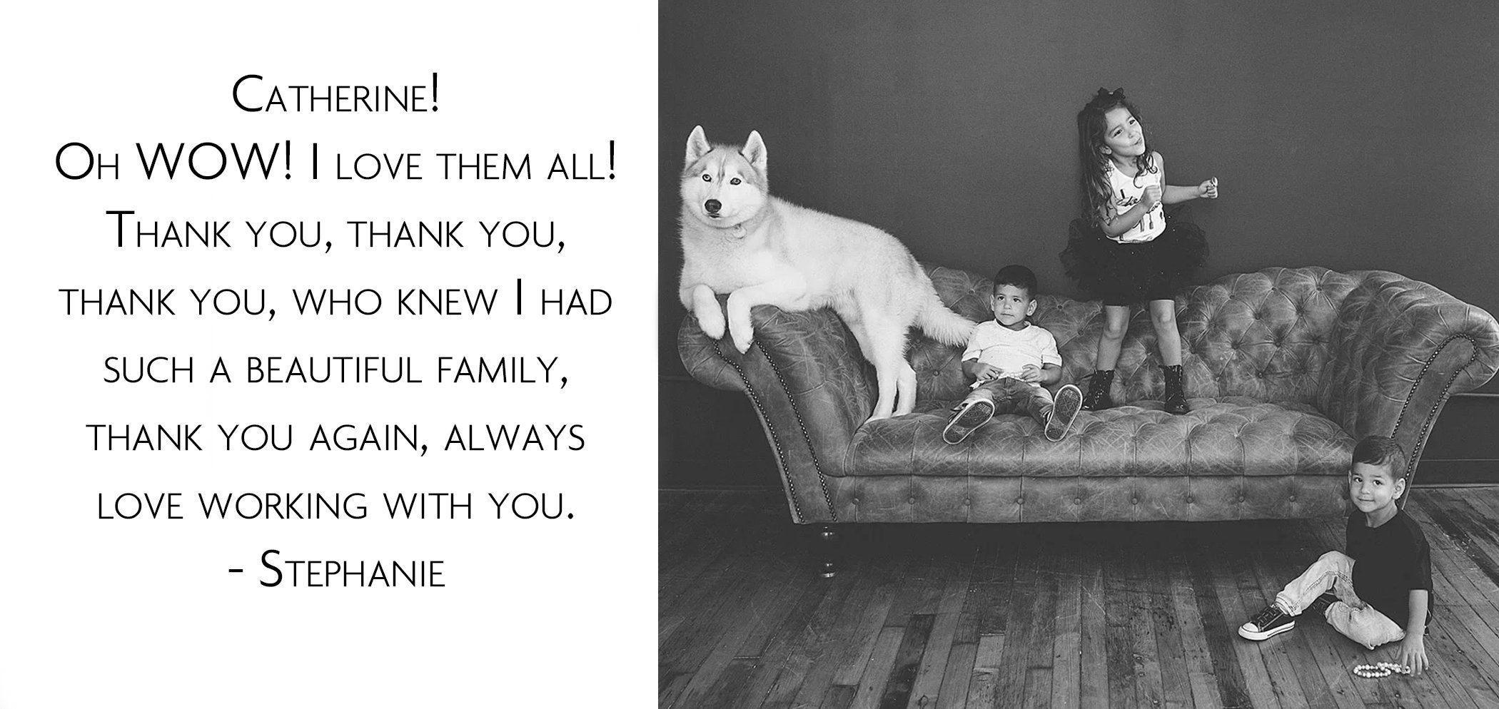 Stephanie testimonial - Oh wow I love them all