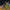 A hedgehog in a dinosaur suit destroying a city made out of product analytic competitors to PostHog