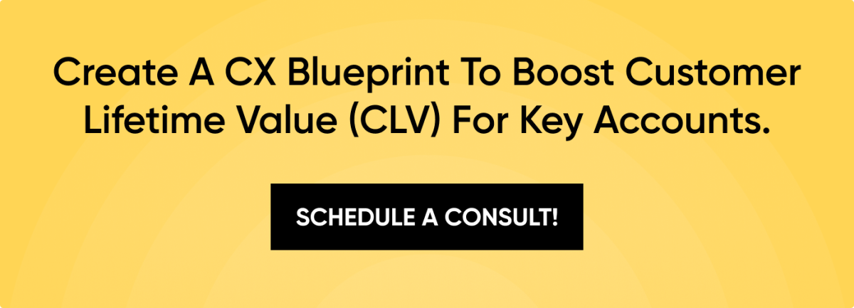 Boosting Profitability with a Global Customer Experience Blueprint