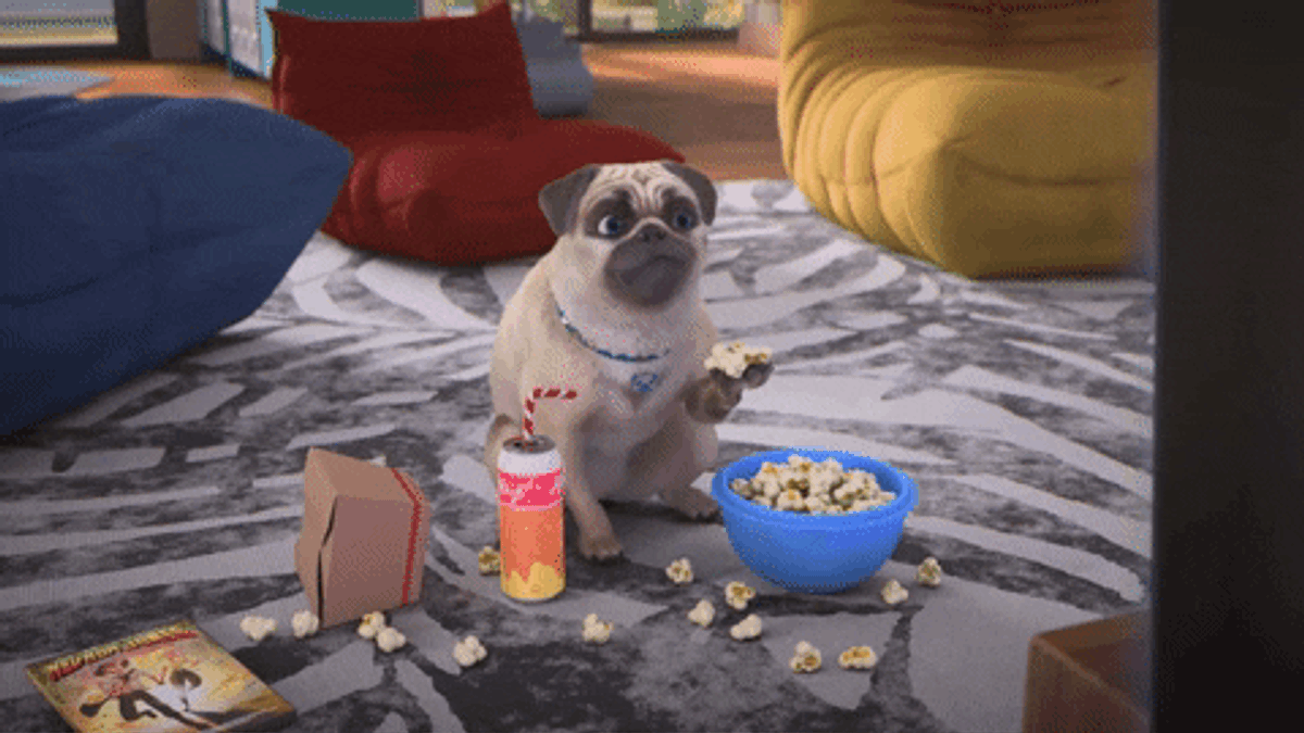 giphy-Mar-17-2023-01-25-02-1255-PM