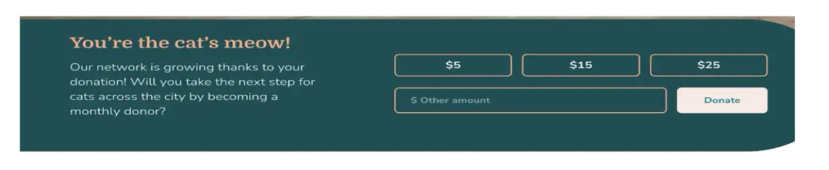 sedmnet-cdp-one-time-donation