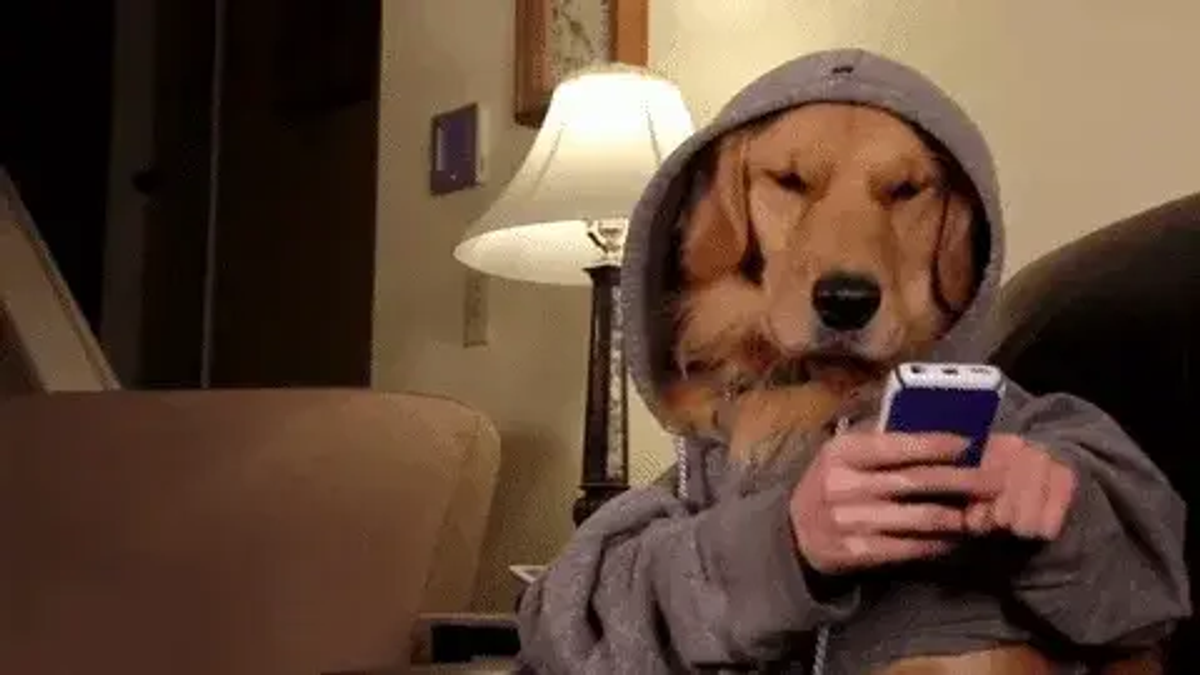 giphy-Feb-16-2023-11-29-09-6654-AM