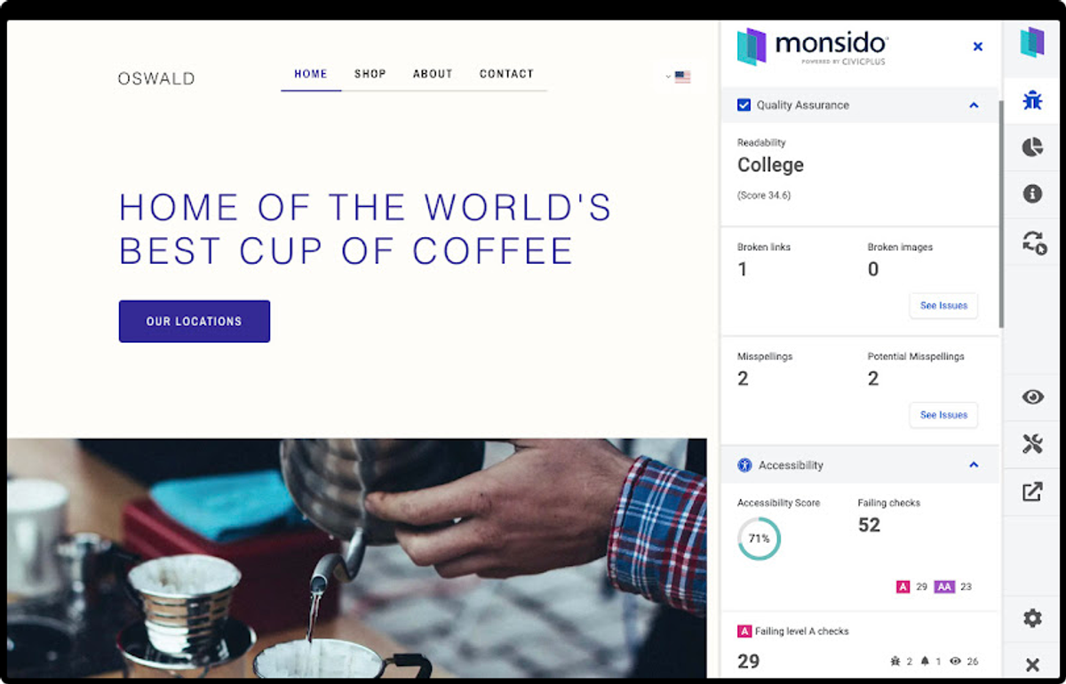 Monsido browser extension