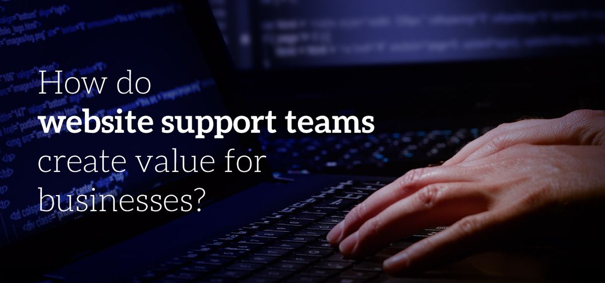 web maintenance value