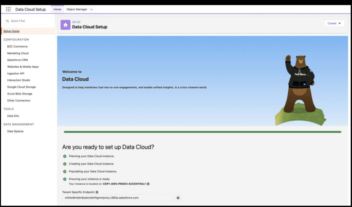 Data cloud setup