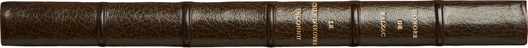 Le chez d'oeuvre inconnu