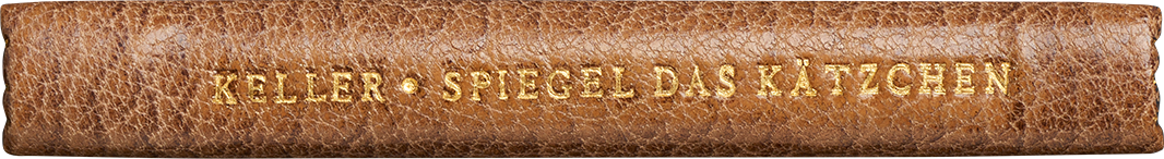 Spiegel, das Kätzchen