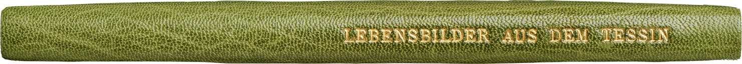 Lebensbilder aus dem Tessin