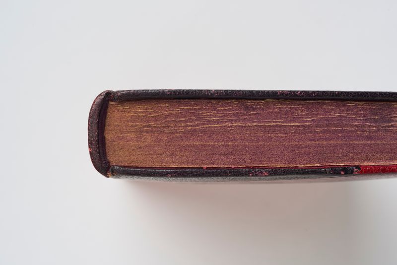 Book detail 3