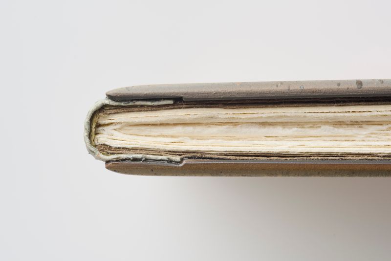 Book detail 3