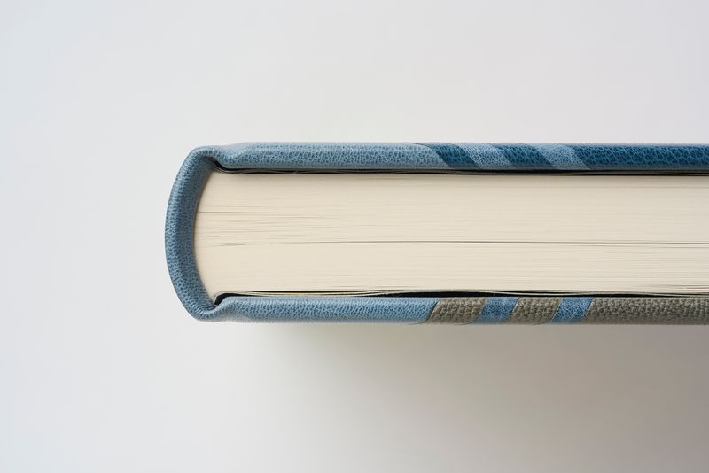 Book detail 3