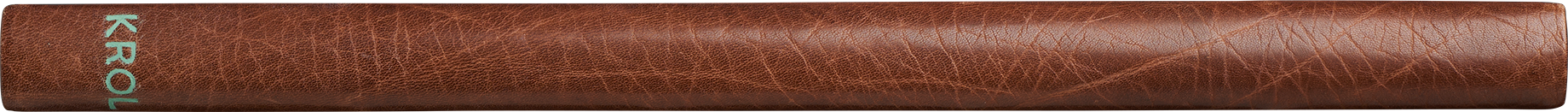 Portrait de Abram Krol